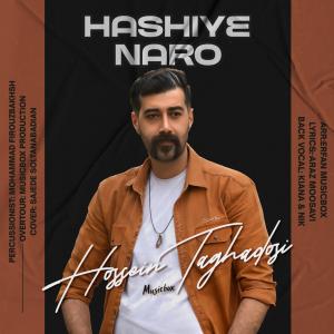 حاشیه نرو حسین تقدسی 