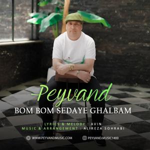بوم بوم صدای قلبم پیوند