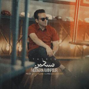 Hooman AminPour Taskin