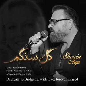 Shervin Arya Gole Sangam