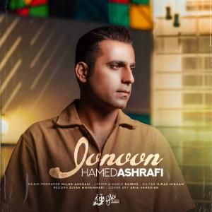 Hamed Ashrafi Jonoon