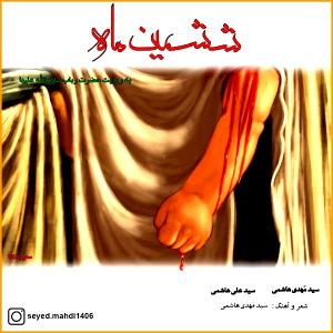 ششمین ماه سید مهدی هاشمی و سید علی هاشمی