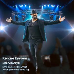 Shervin Arya Kenare Eyvoon