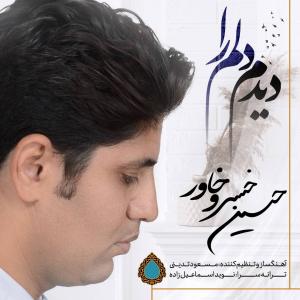 دیدم دلم را
