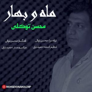 ماه و بهار محسن توکلی