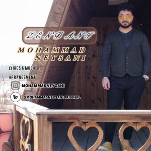 زندانی محمد نیسانی