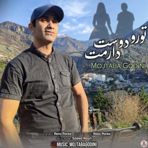 تورو دوست دارمت مجتبی گودینی