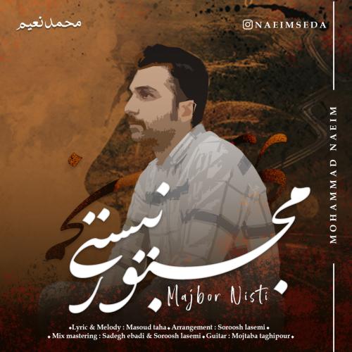 Mohammad Naeim Majboor Nisti