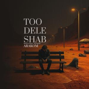تو دل شب آراکوم