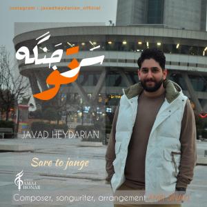 سر تو جنگه