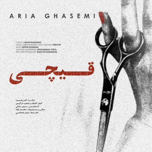 Aria Ghasemi Gheychi