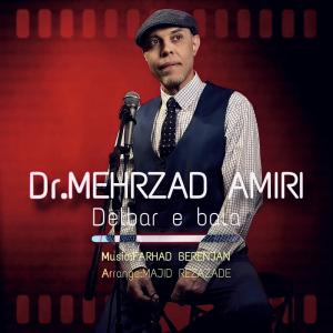 Dr Mehrzad Amiri Delbari Bala