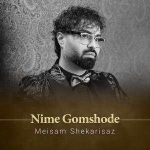 نیمه گمشده میثم شکری ساز