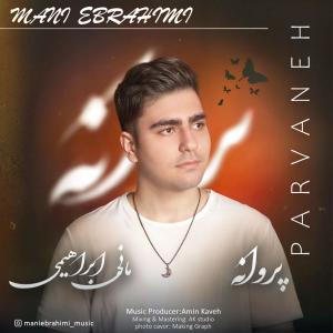 Mani Ebrahimi Parvaneh