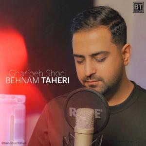غریبه شدی بهنام طاهری