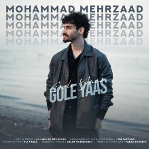 گل یاس محمد مهرزاد