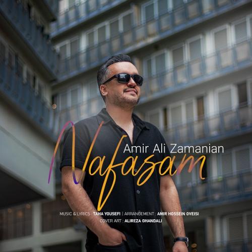 Amir Ali Zamanian Nafasam