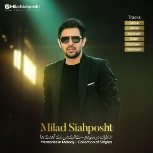 دردانه میلاد سیاه پشت