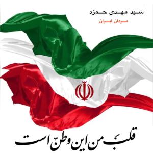 مردان ایران سید مهدی حمزه