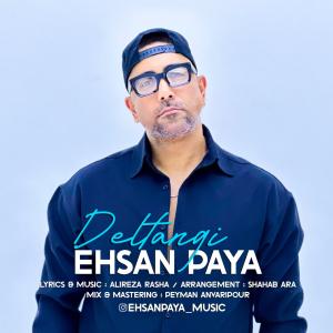 Ehsan Paya Deltangi
