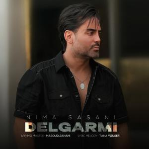 Nima Sasani Delgarmi