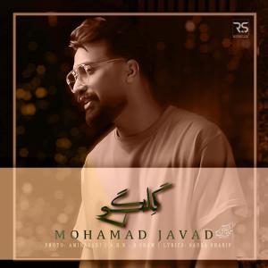 گلگی محمد جواد حق شناس