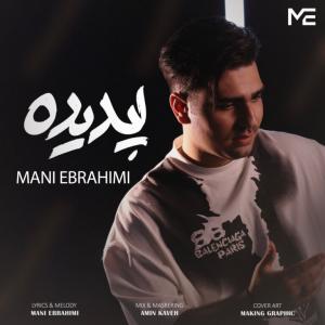 Mani Ebrahimi Padideh