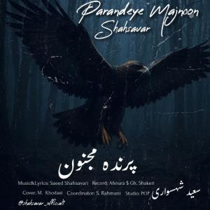 Saeed Shahsavari (Shahsavar) Parandeye Majnoon