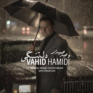 دلتنگی وحید حمیدی