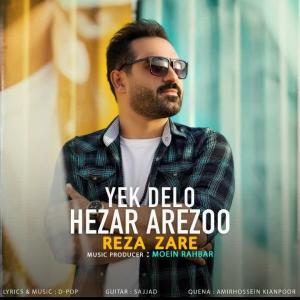 یک دل و هزار آرزو رضا زارع