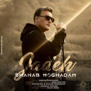 Shahab Moghadam Jadeh