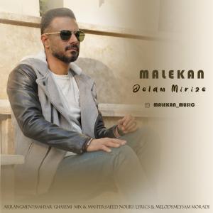 Malekan Delam Mirize