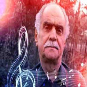 می دیل فریدون پوررضا