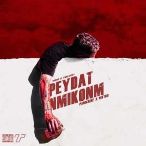 PanicNine Peydat Nemikonam