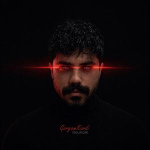 دانلود آهنگ هونام گرگم کردی