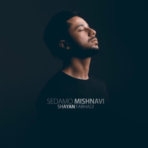 Shayan Farhadi Sedamo Mishnavi