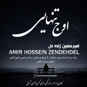 دانلود آهنگ امیرحسین زنده دل  اوج تنهایی