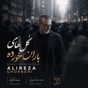 Alireza Ghorbani Golhaye Barankhordeh