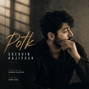 Shervin Hajipour Potk