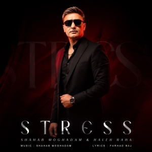 Shahab Moghadam Stress