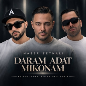 Naser Zeynali Daram Adat Mikonam (Remix)