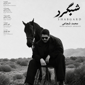 Mohammad Shojaei Shabgard