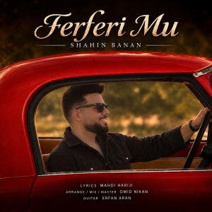 Shahin Banan Ferferi Mu