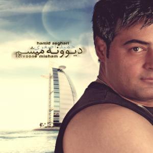 دیوونه میشم حمید اصغری