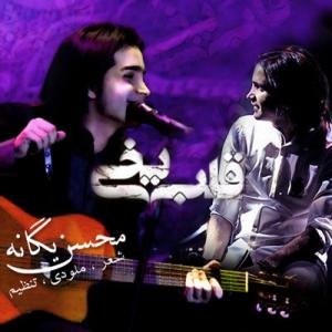 قلب یخی محسن یگانه