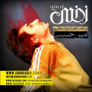 زخمی امین حبیبی