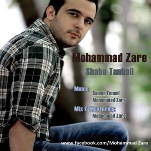 شب تنهایی محمد زارع
